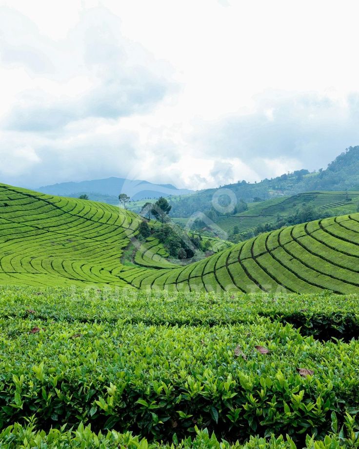 ĐÔI NÉT VỀ LAI CHÂU
